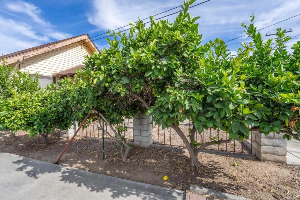 https://cdn.realtyfeed.com/cdn/127/306762823/932dcc5e805593d71986362e5e17f8f9.webp