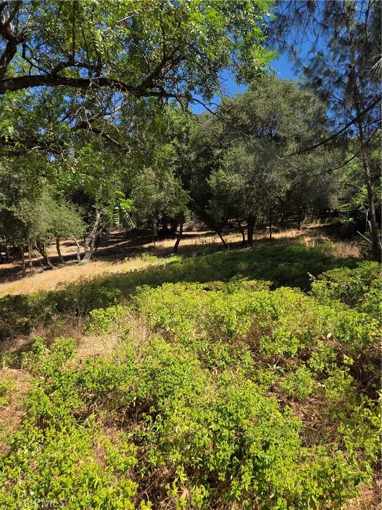 4860 Cascade Way, Kelseyville, CA 95451 - Photo 2 of 3, Kelseyville, CA