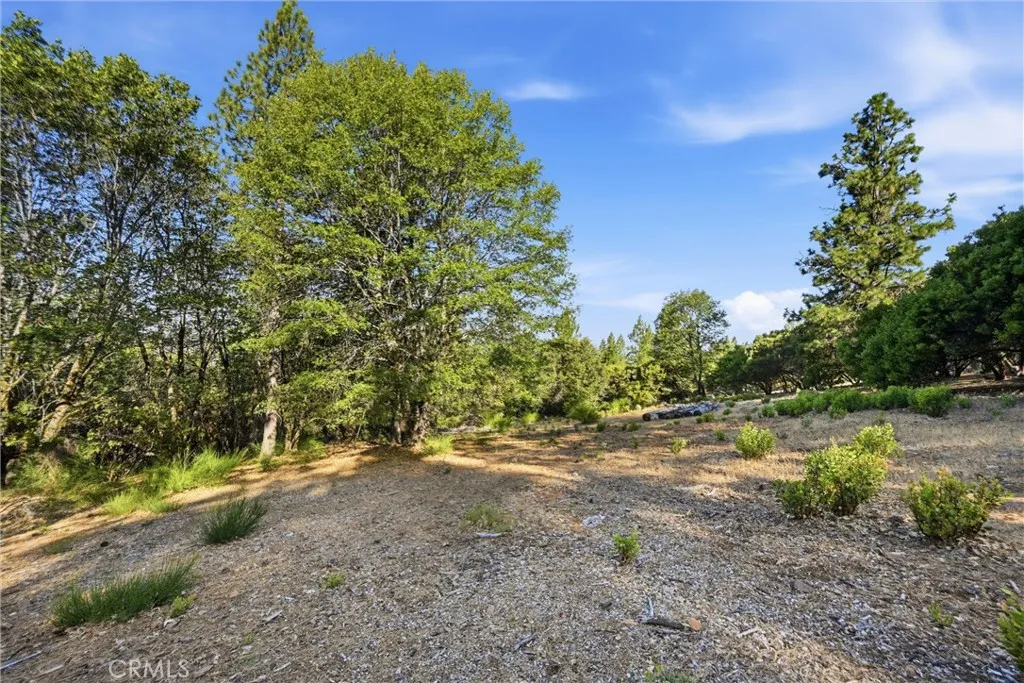 9003 Fox, Cobb, CA 95426 - Main photo, Cobb, CA