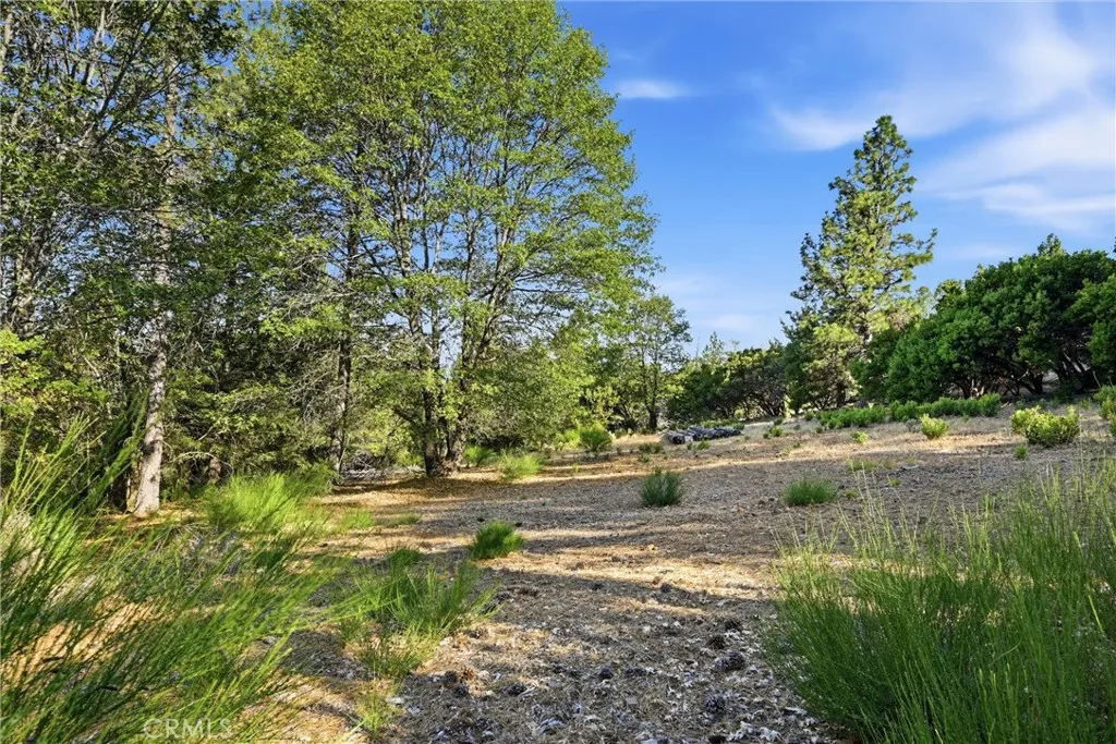 9003 Fox, Cobb, CA 95426 - Photo 2 of 13, Cobb, CA