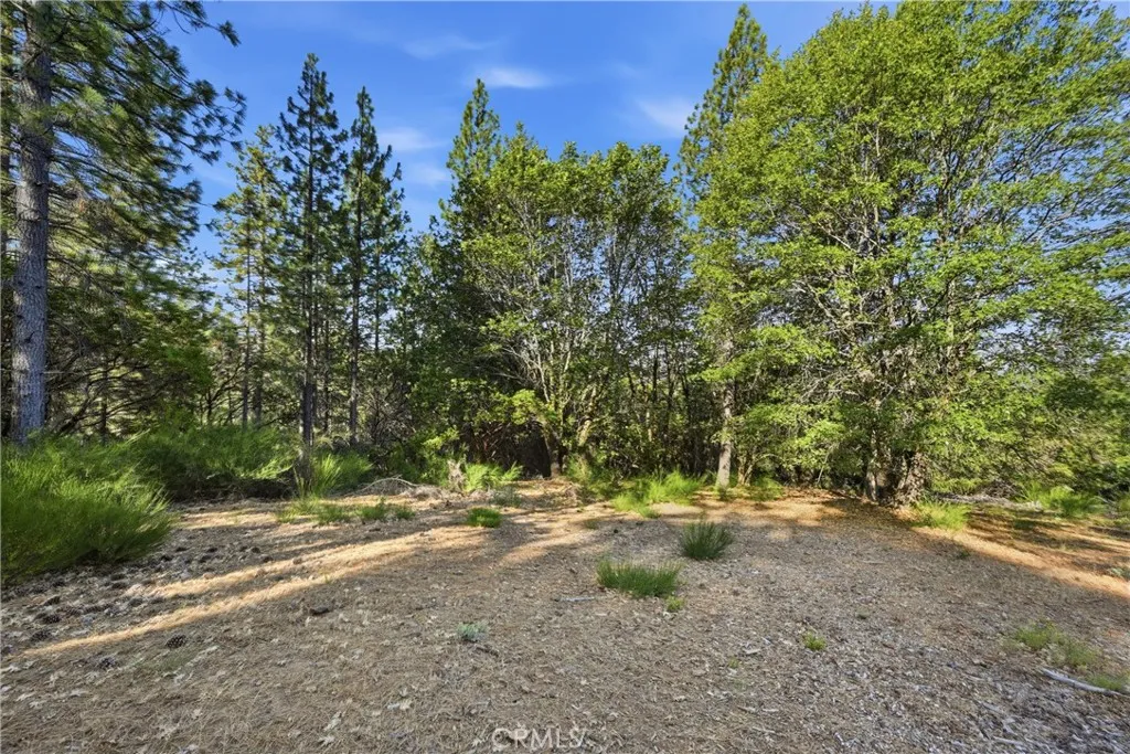 9003 Fox, Cobb, CA 95426 - Photo 3 of 13, Cobb, CA