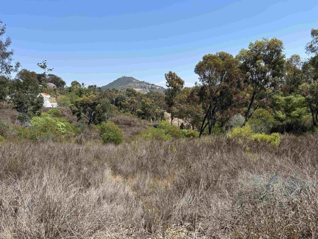 0 Lone Hill, Encinitas, CA 92024 - Photo 2 of 9, Encinitas, CA