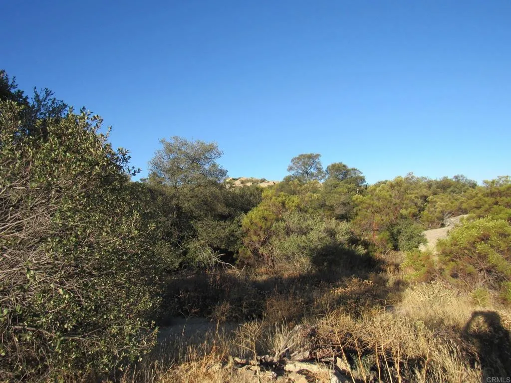 29 Old Highway 80, Boulevard, CA 91905 - Photo 4 of 12, Boulevard, CA