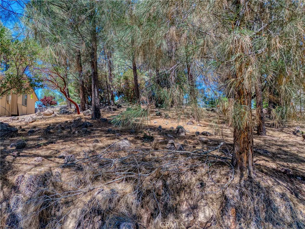 10266 Hok Has Ha, Kelseyville, CA 95451 - Photo 5 of 18, Kelseyville, CA