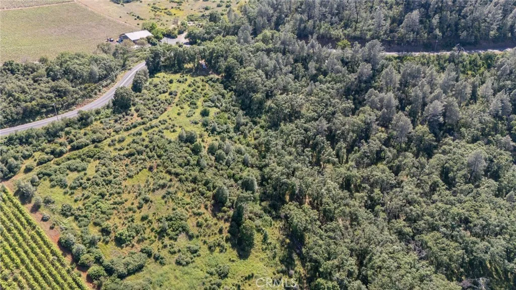 13520 Point Lakeview, Lower Lake, CA 95457 - Photo 3 of 31, Lower Lake, CA