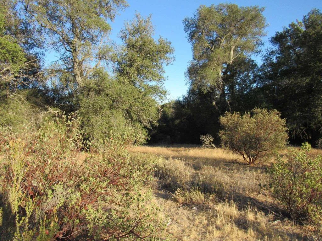 153 Old 80 And Hwy 94, Boulevard, CA 91905 - Photo 5 of 16, Boulevard, CA