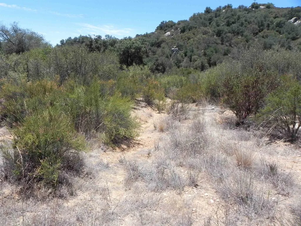 0 Descanso Trail, Descanso, CA 91916 - Photo 5 of 10, Descanso, CA