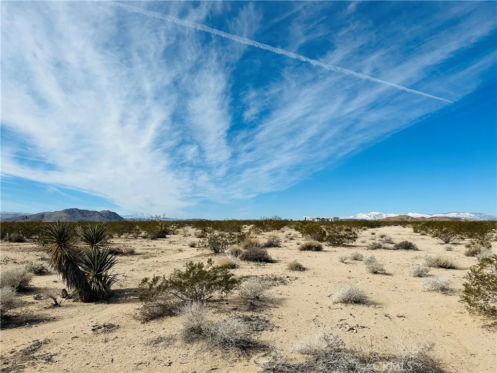 1234 Desert Lily, Joshua Tree, CA 92252 - Photo 3 of 13, Joshua Tree, CA