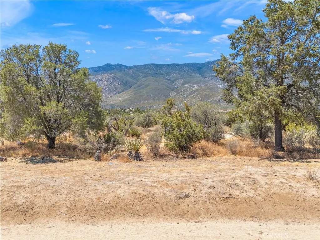1 Sonora, Mountain Center, CA 92561 - Photo 4 of 25, Mountain Center, CA