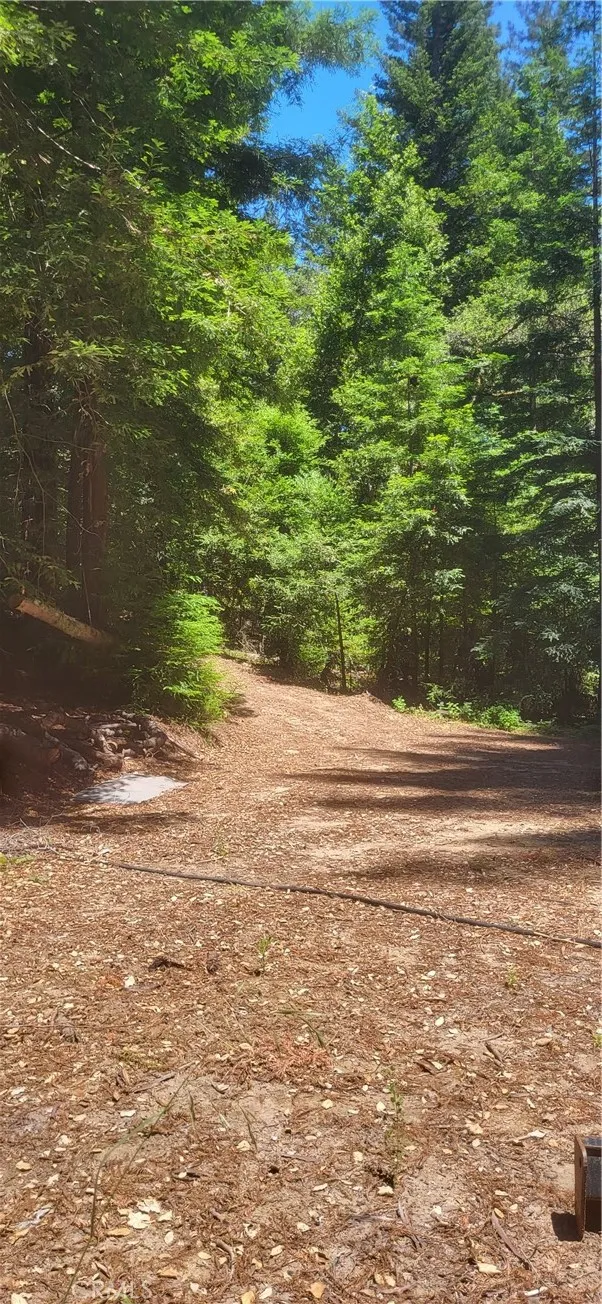 0 Palm Cutof, Boulder Creek, CA 95006 - Photo 2 of 10, Boulder Creek, CA