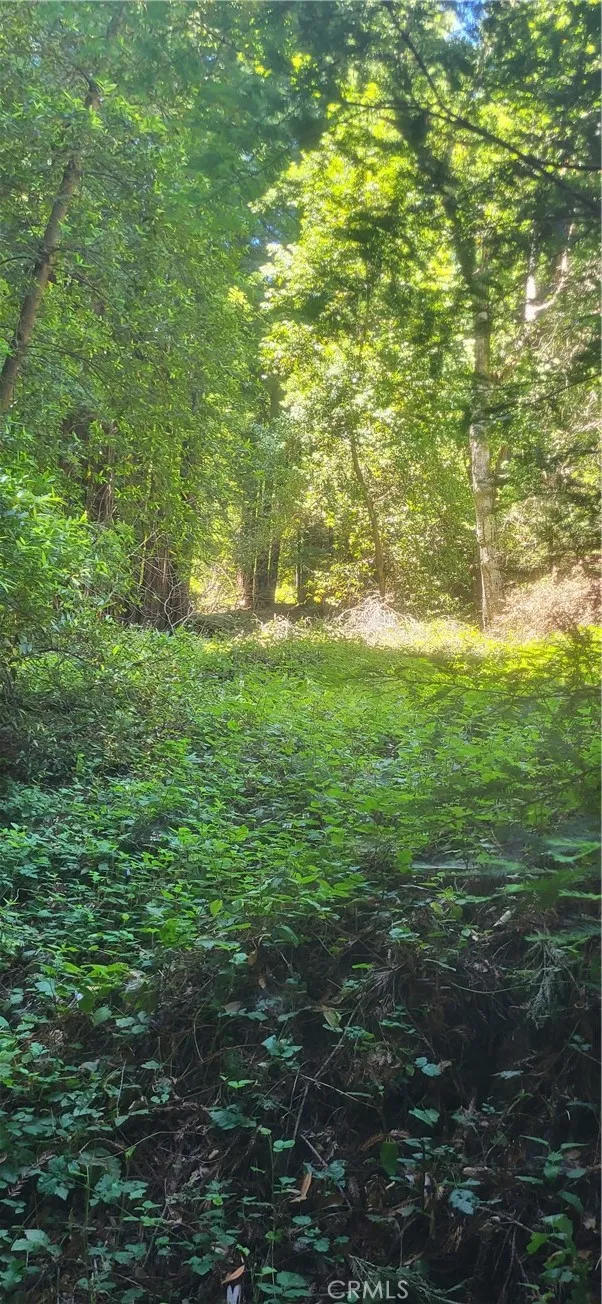 0 Palm Cutof, Boulder Creek, CA 95006 - Photo 5 of 10, Boulder Creek, CA