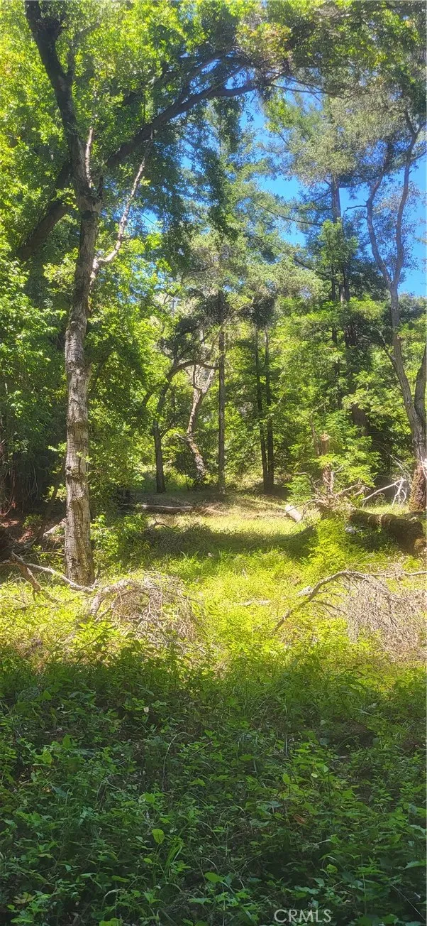 0 Palm Cutof, Boulder Creek, CA 95006 - Photo 3 of 10, Boulder Creek, CA