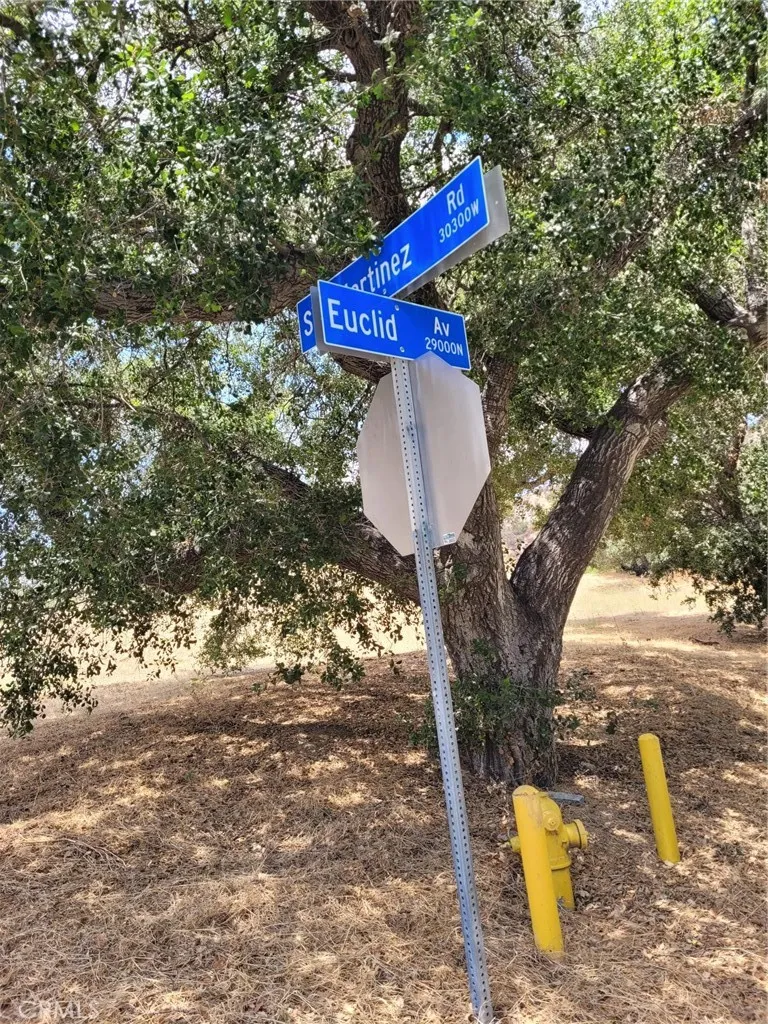 0 San Martinez Rd., Val Verde, CA 91384 - Photo 4 of 6, Val Verde, CA