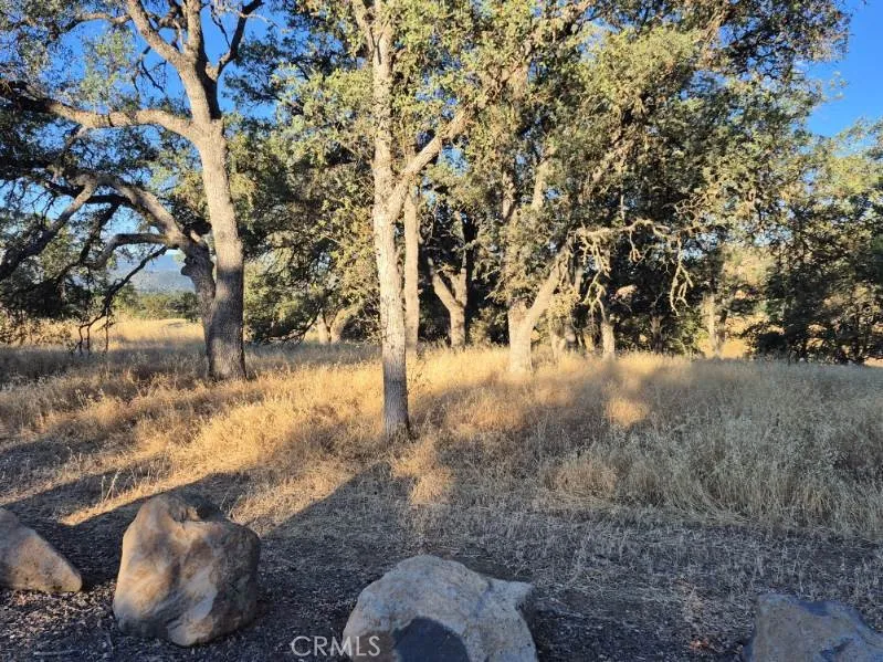 2225 Park, Clearlake, CA 95422 - Photo 5 of 7, Clearlake, CA