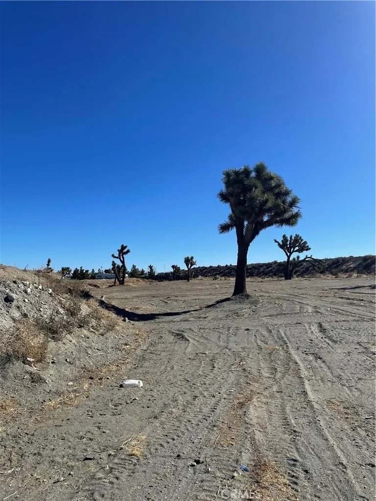 0 Rosado, Pinon Hills, CA 92372 - Photo 2 of 6, Pinon Hills, CA