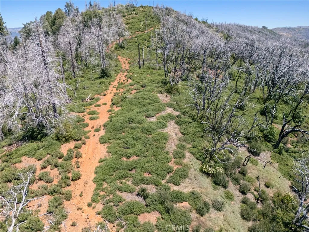 0 Stephens Ridge, Berry Creek, CA 95916 - Photo 5 of 8, Berry Creek, CA