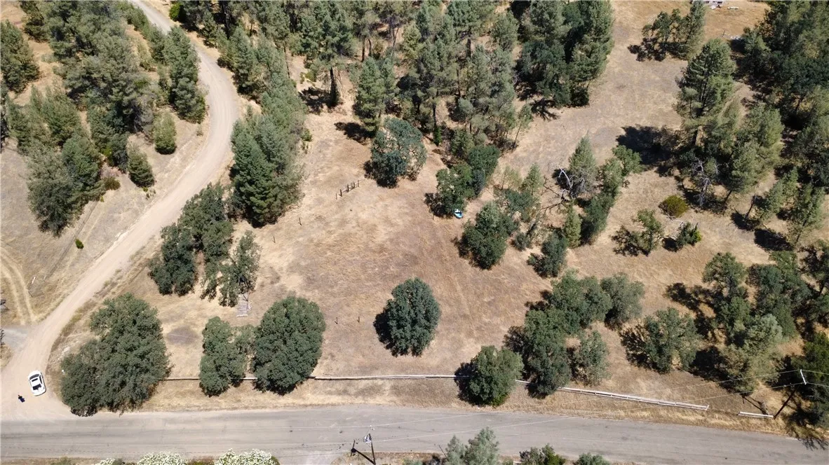 16562 Stagecoach, Corning, CA 96021 - Photo 4 of 11, Corning, CA