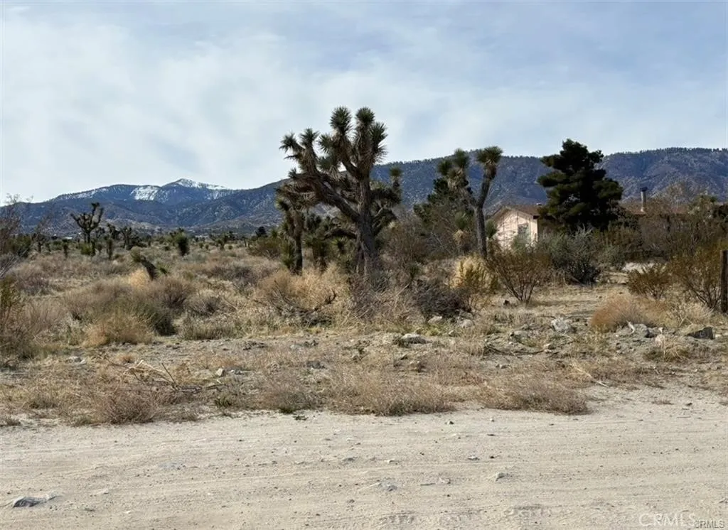 0 Mono, Pinon Hills, CA 92372 - Photo 3 of 6, Pinon Hills, CA