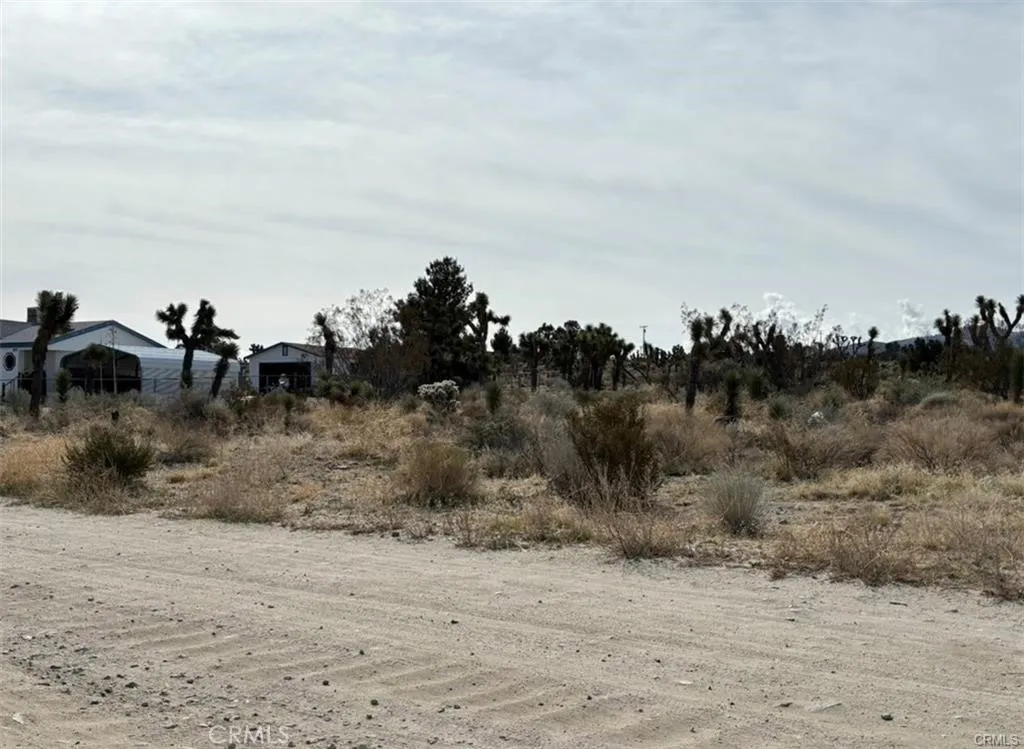 0 Mono, Pinon Hills, CA 92372 - Photo 2 of 6, Pinon Hills, CA