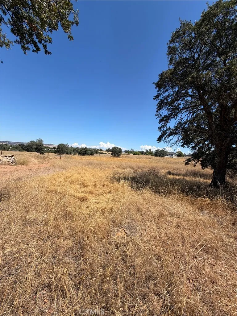 0 Greenville, Oroville, CA 95966 - Photo 5 of 6, Oroville, CA
