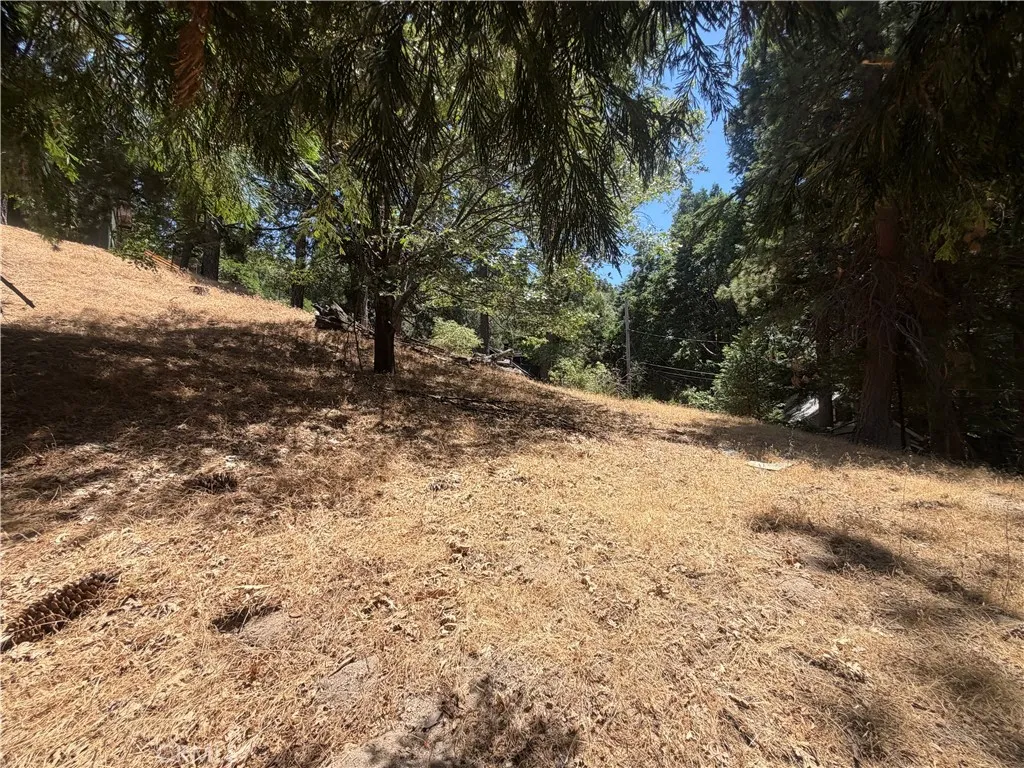 0 Dart Canyon, Crestline, CA 92325 - Photo 4 of 9, Crestline, CA