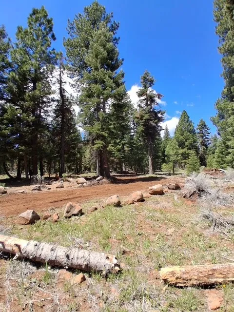 0 Sunset Drive, California Pines, CA 96101 - Photo 2 of 2, California Pines, CA