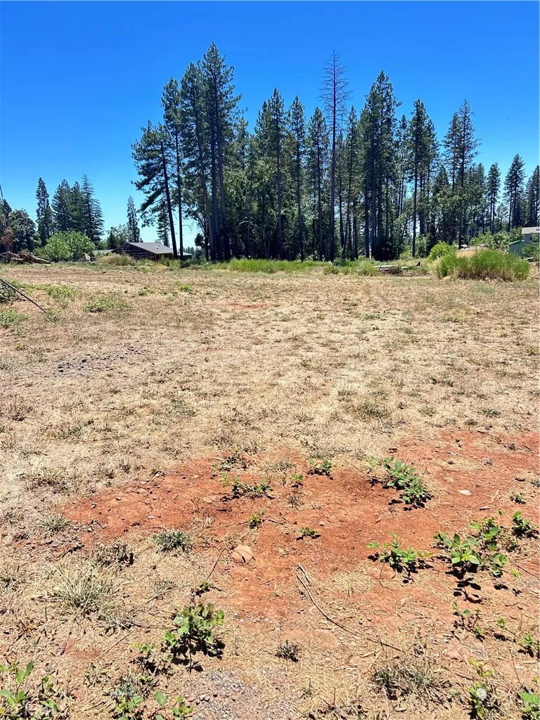 1540 Warren, Paradise, CA 95969 - Main photo, Paradise, CA