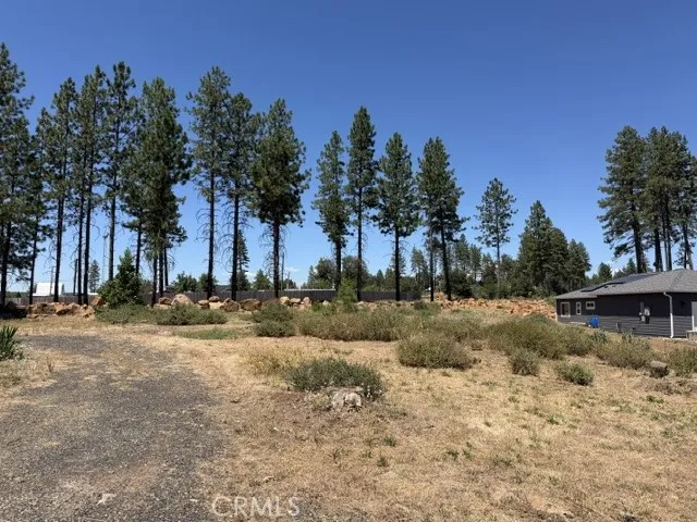 1365 Herman, Paradise, CA 95969 - Photo 4 of 4, Paradise, CA