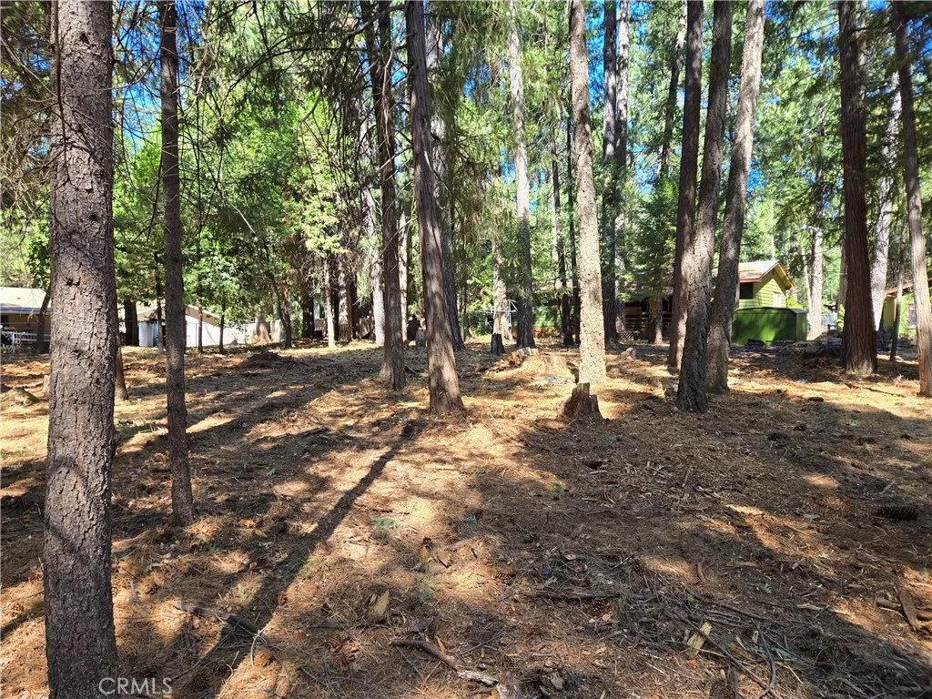 0 Tikker Ln, Magalia, CA 95954 - Photo 3 of 11, Magalia, CA