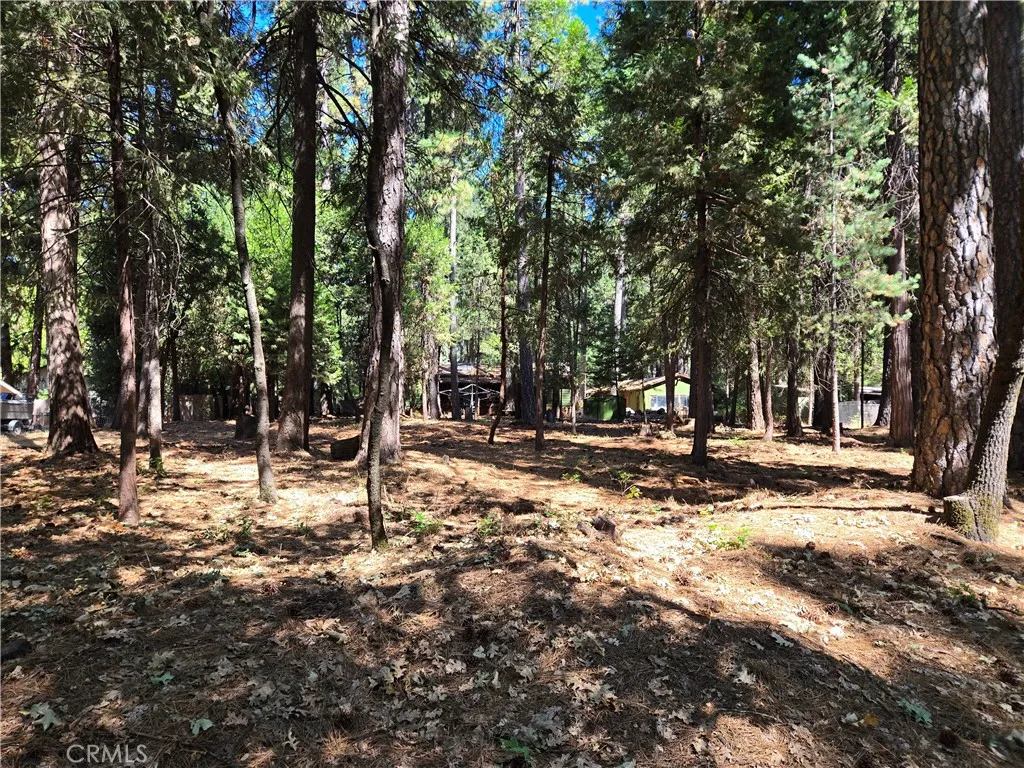 0 Tikker Ln, Magalia, CA 95954 - Main photo, Magalia, CA