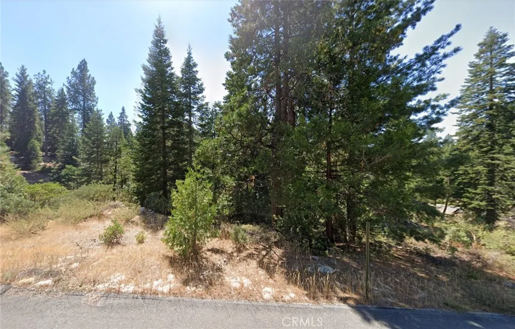 40541 Wild Rose, Shaver Lake, CA 93664 - Photo 2 of 5, Shaver Lake, CA