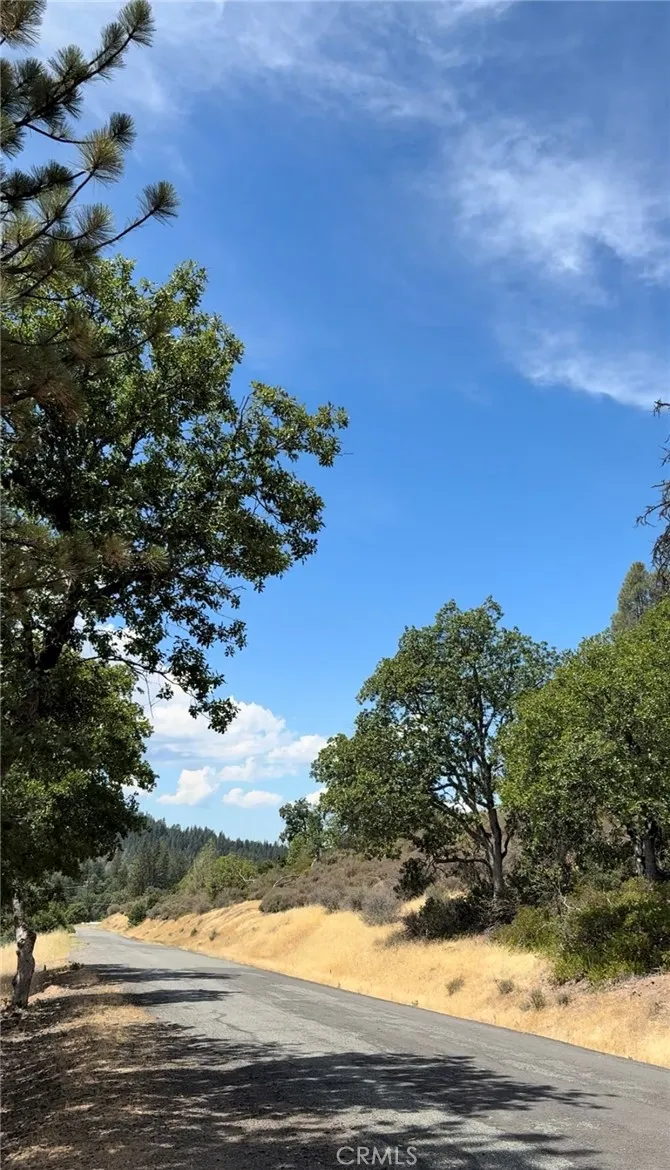 1651 Summit Creek, Hayfork, CA 96041 - Photo 3 of 4, Hayfork, CA