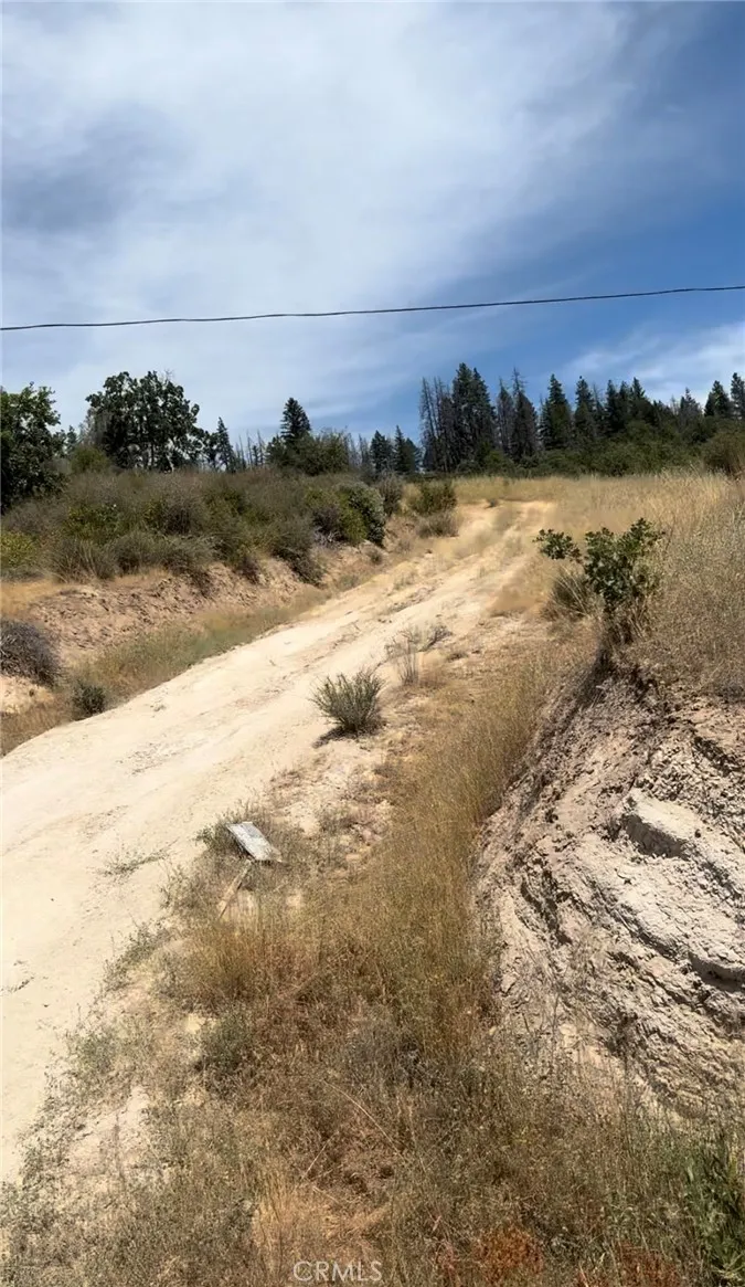 1651 Summit Creek, Hayfork, CA 96041 - Main photo, Hayfork, CA