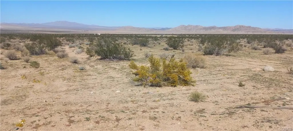 0 N Joshua Tree, Johnson Valley, CA 92285 - Photo 2 of 3, Johnson Valley, CA