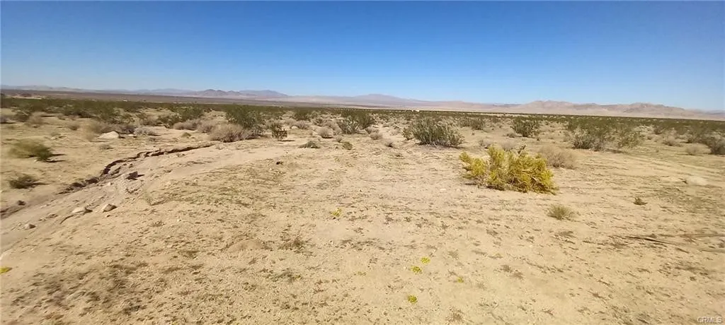 0 N Joshua Tree