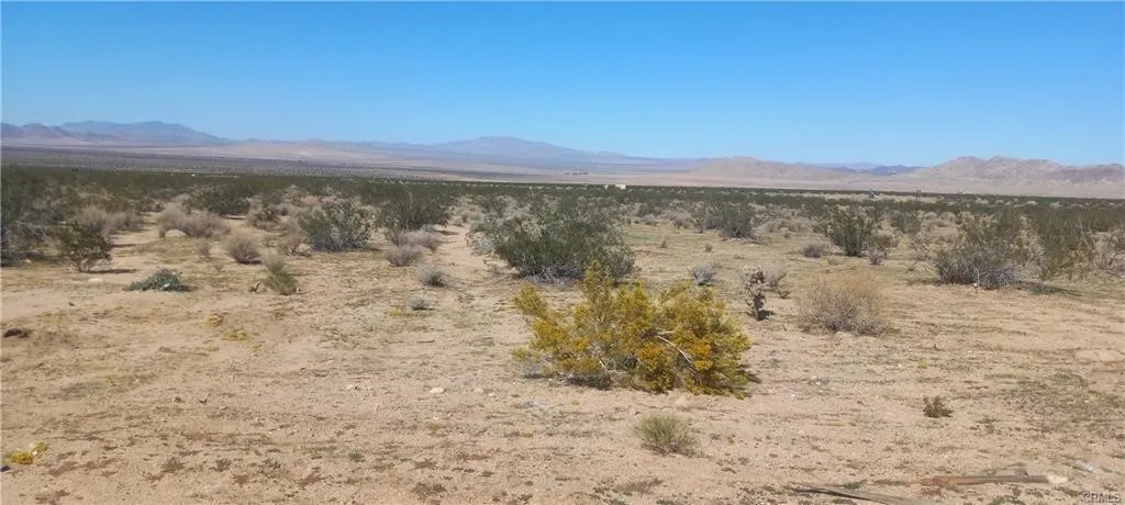 0 N Joshua Tree, Johnson Valley, CA 92285 - Photo 3 of 3, Johnson Valley, CA