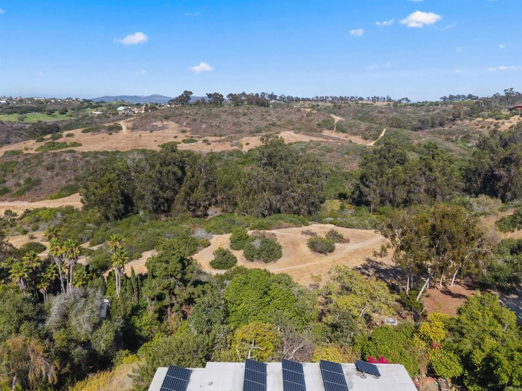 1243 Saxony Road, Encinitas, CA 92024 - Photo 5 of 33, Encinitas, CA