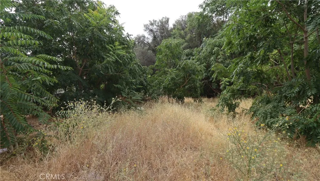 3292 9th, Clearlake, CA 95422 - Photo 5 of 7, Clearlake, CA
