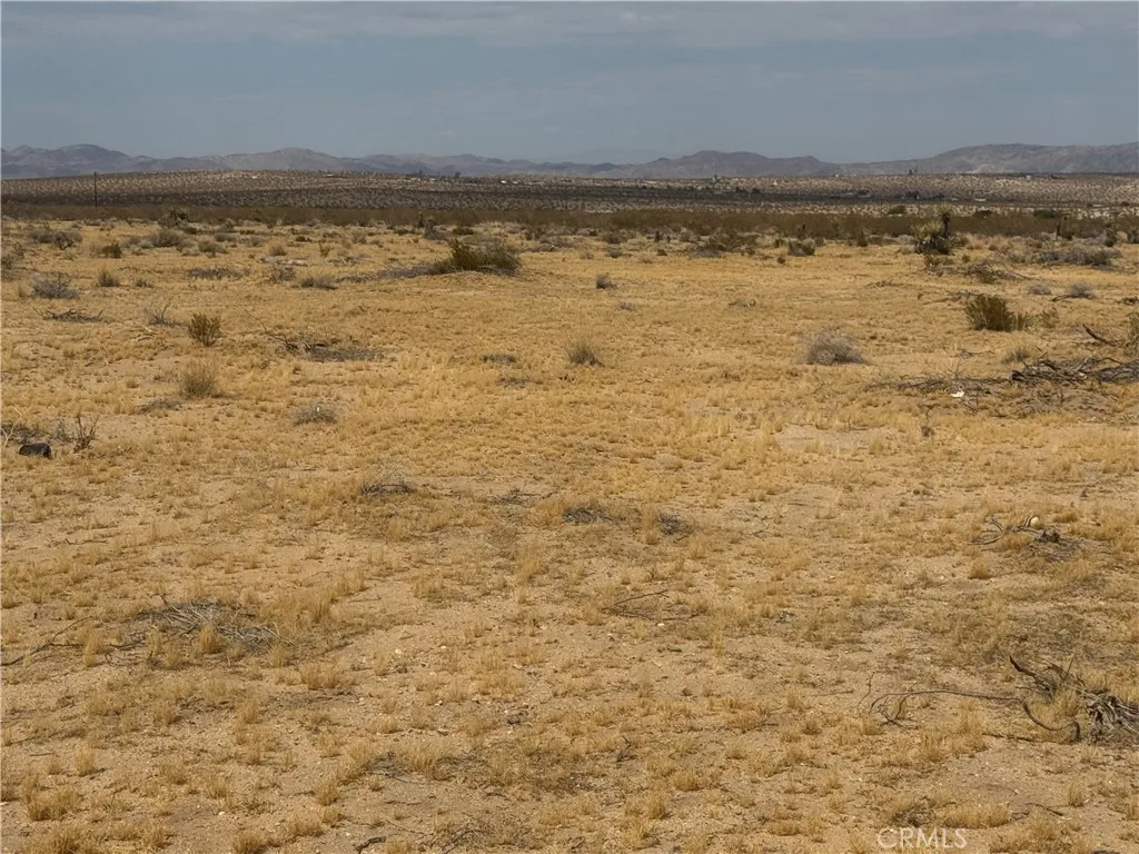 62626 N Pole, Joshua Tree, CA 92252 - Photo 5 of 20, Joshua Tree, CA