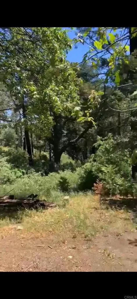 0 Burnt Creek Canyon, Cedarpines Park, CA 92322 - Photo 2 of 3, Cedarpines Park, CA