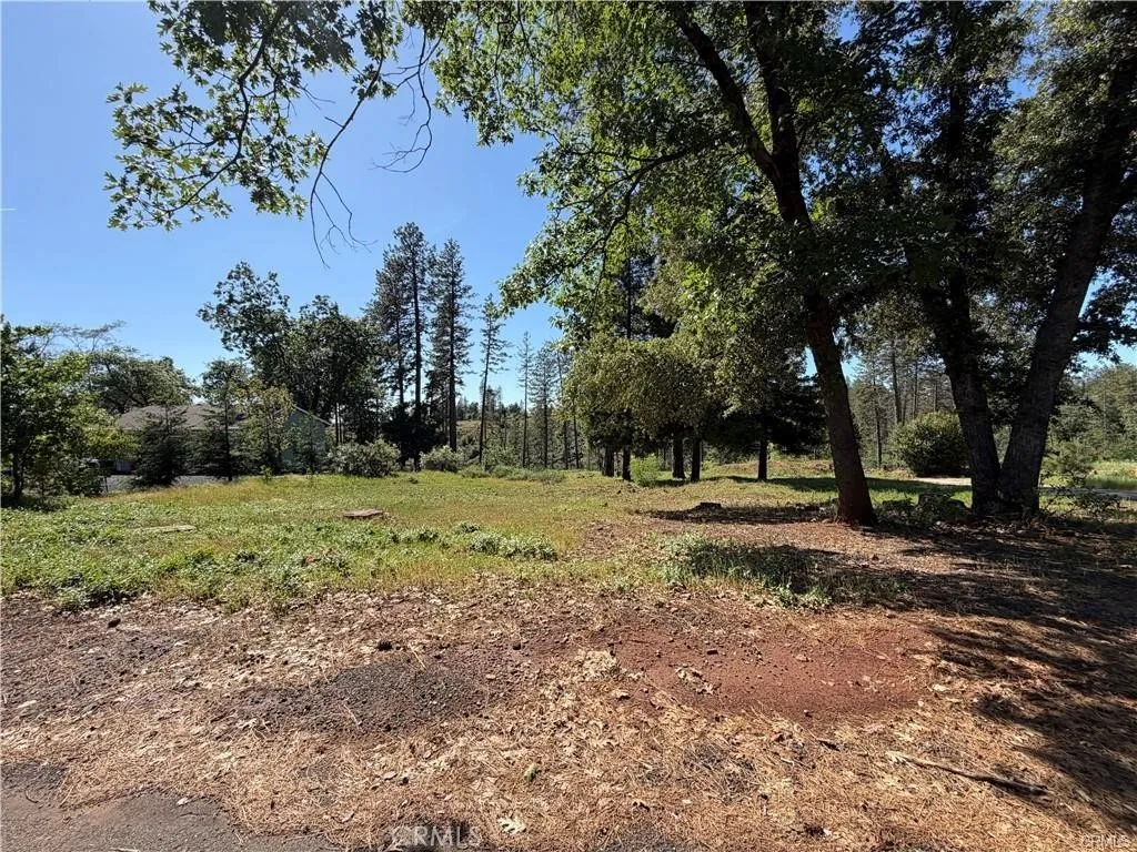 5665 Chaney, Paradise, CA 95969 - Photo 3 of 4, Paradise, CA