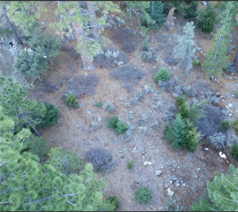 15024 Chestnut, Pine Mountain Club, CA 93222 - Main photo, Pine Mountain Club, CA