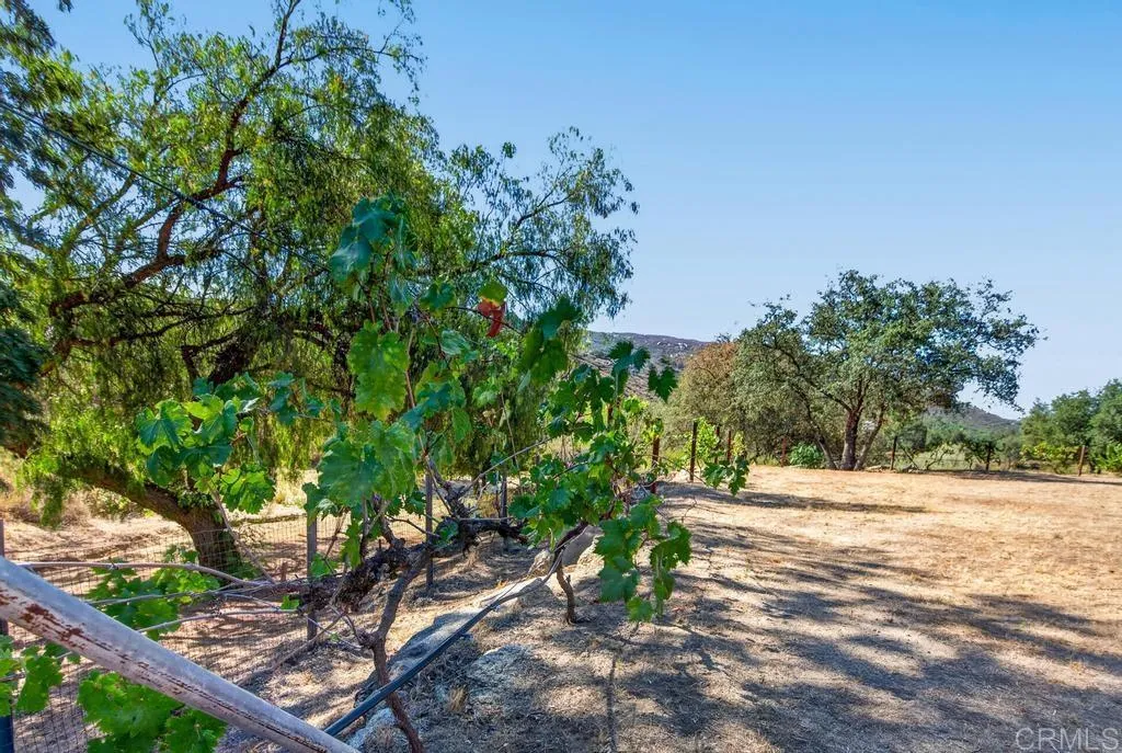 https://cdn.realtyfeed.com/cdn/127/306774054/6787907ab58ba2ed7e60c36f553a28f8.webp