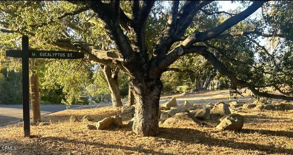 501 W Eucalyptus, Ojai, CA 93023 - Main photo, Ojai, CA
