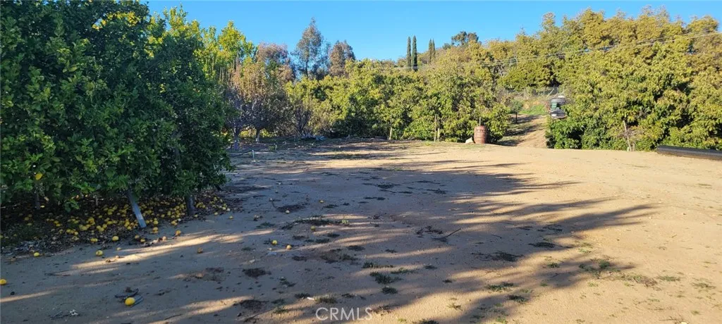 0 Calle Cuero, Temecula, CA 92590 - Main photo, Temecula, CA