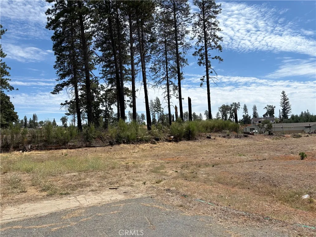 7224 Skyway, Paradise, CA 95969 - Photo 4 of 10, Paradise, CA