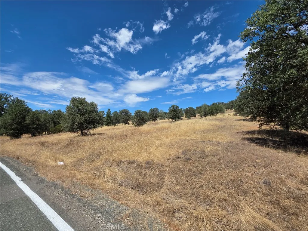 1910 New Long Valley