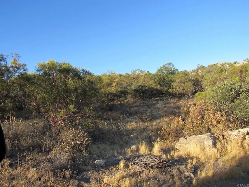 36 Leoney, Jamul, CA 91935 - Photo 2 of 14, Jamul, CA