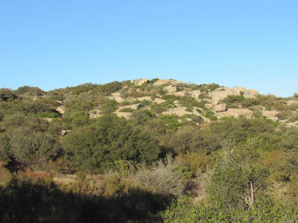 36 Leoney, Jamul, CA 91935 - Photo 5 of 14, Jamul, CA