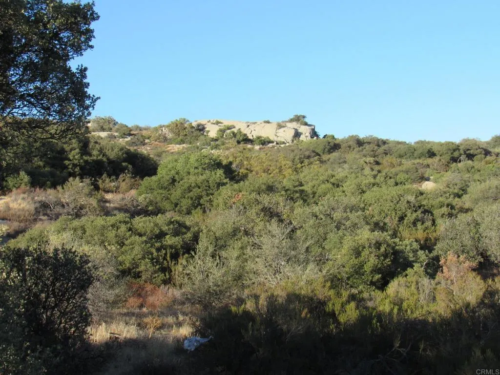 36 Leoney, Jamul, CA 91935 - Photo 4 of 14, Jamul, CA